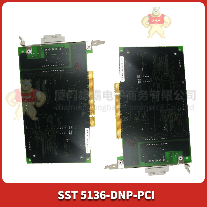 5136-DNP-PCI (2).jpg