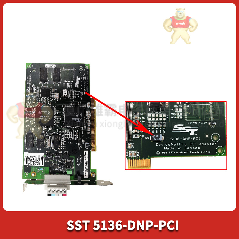 5136-DNP-PCI (3).jpg