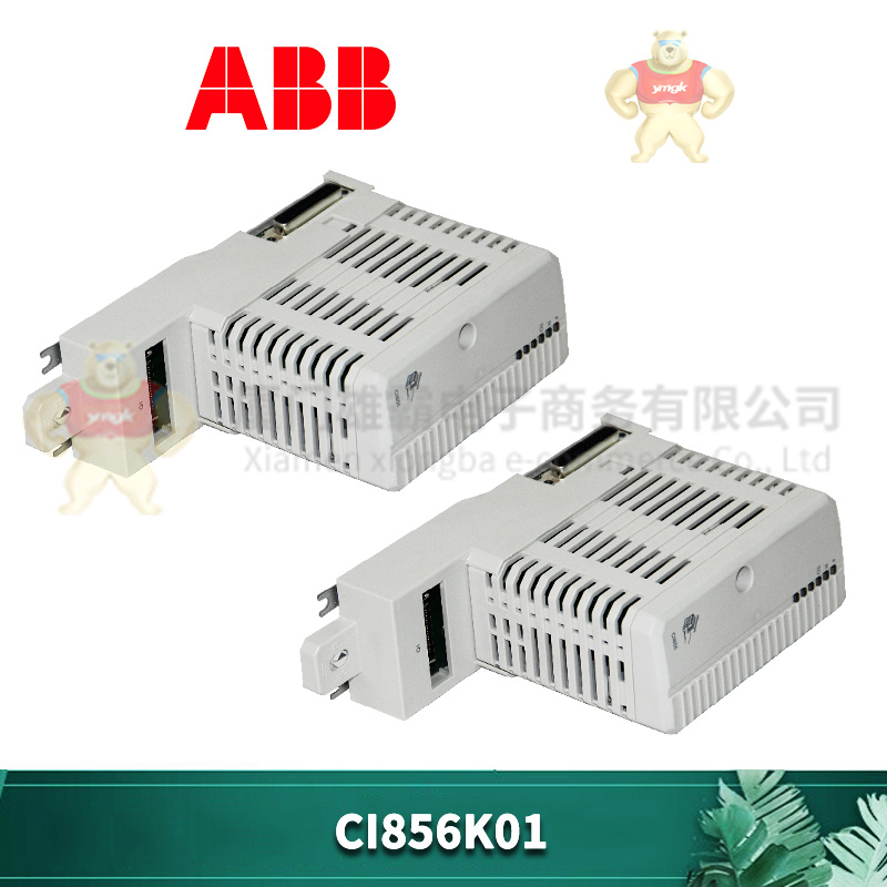 ABB CI856K01 (2).jpg