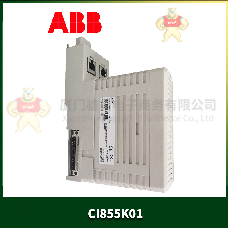 ABB CI855K01 (1).jpg