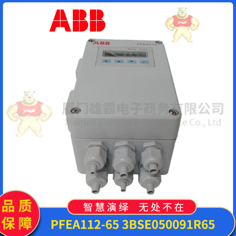 ABB PFEA112-65 3BSE050091R65 (2).jpg