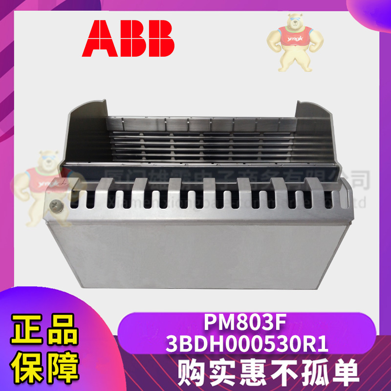 ABB PM803F 3BDH000530R1 (4).jpg