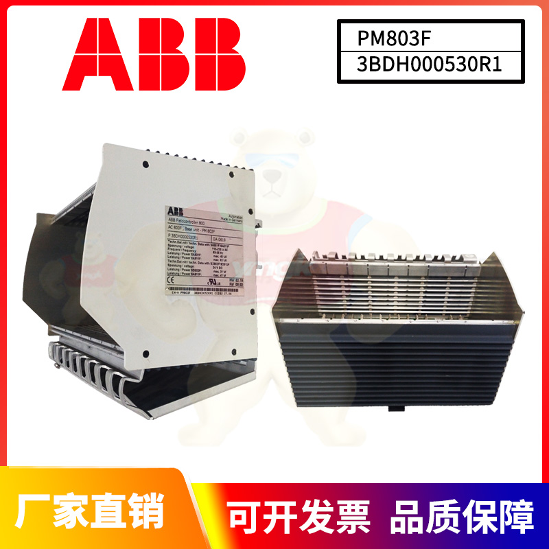 ABB PM803F 3BDH000530R1 (9).jpg