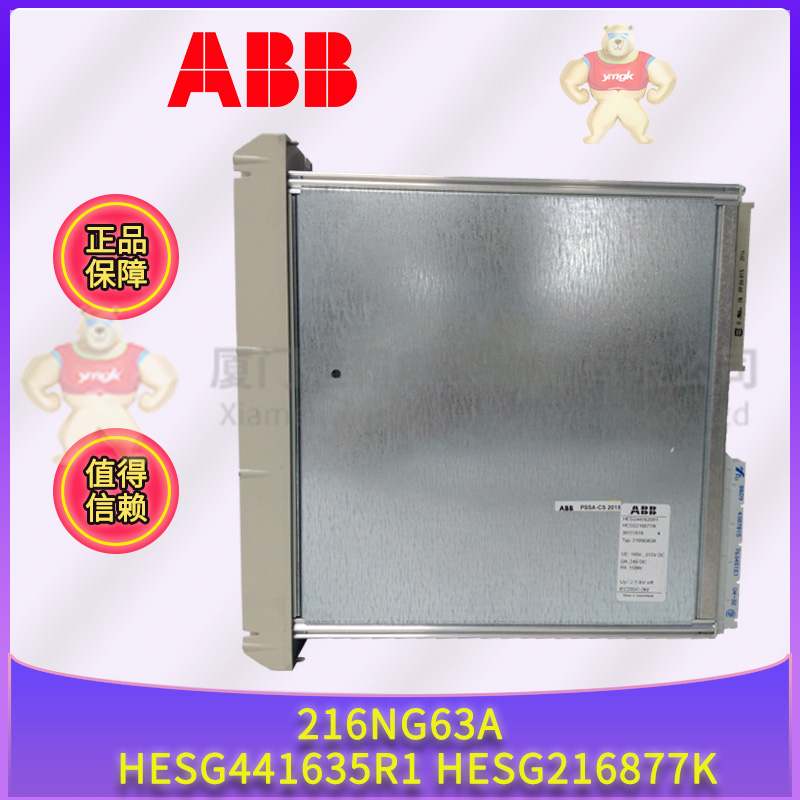 ABB 216NG63A HESG441635R1 HESG216877K (2).jpg