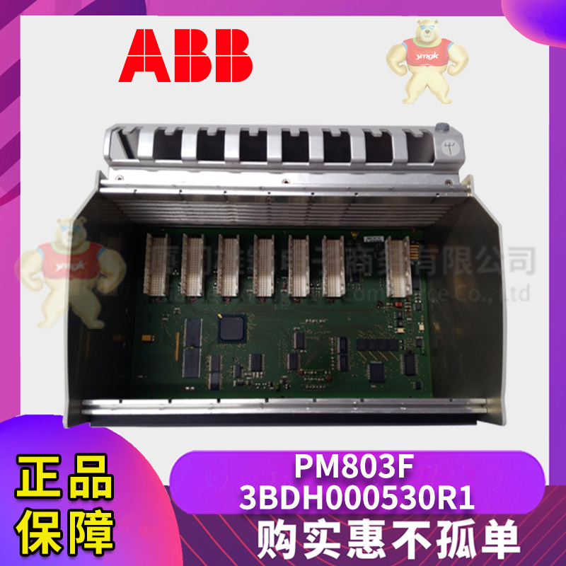 ABB PM803F 3BDH000530R1 (5).jpg