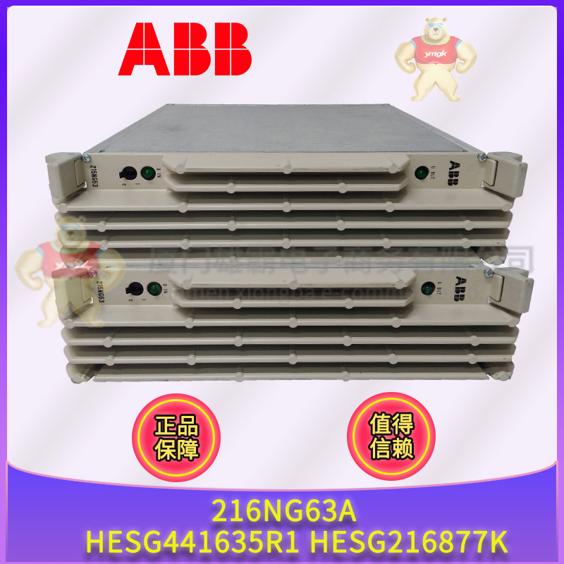 ABB 216NG63A HESG441635R1 HESG216877K (1).jpg