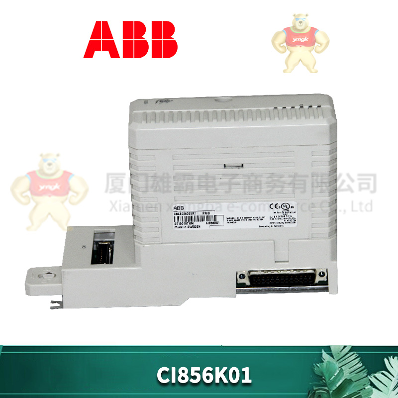 ABB CI856K01 (3).jpg