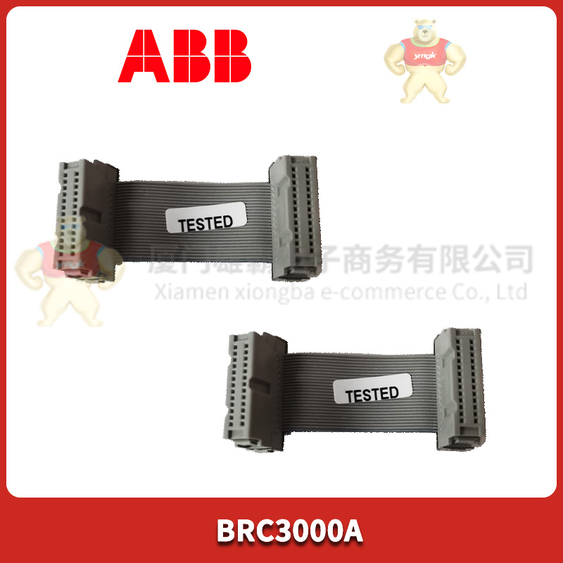 ABB BRC3000A (1).jpg