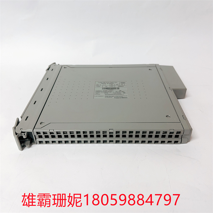 ICS Triplex 数字输入模块 T8403 三重模块化冗余 (TMR) 输入通道