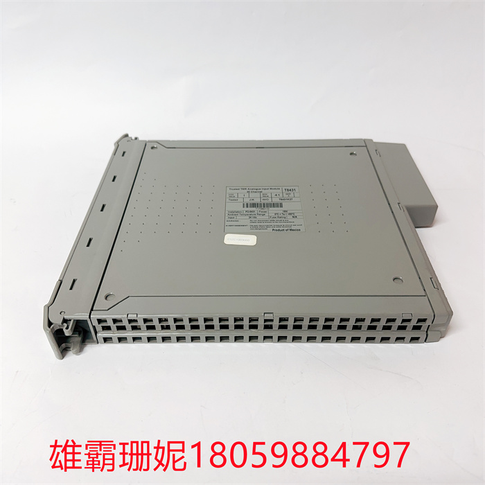 ICS TRIPLEX T8431 控制脉冲卡件模块