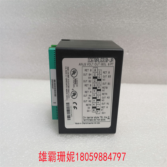 GE IC670ALG310-JA (1).jpg