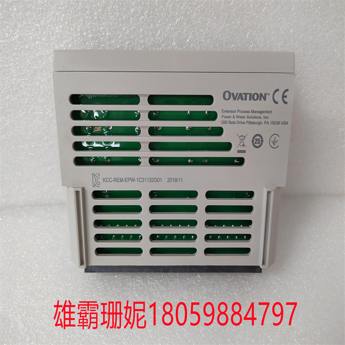 1C31169G02 EMERSON艾默生西屋 输入输出模块 DCS卡件