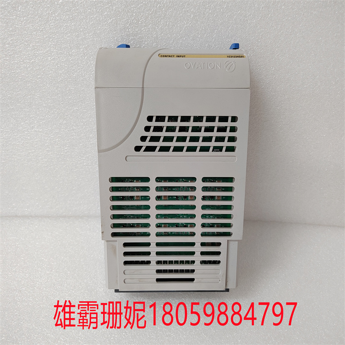 1C31234G01 EMERSON艾默生西屋 输入输出模块 DCS卡件