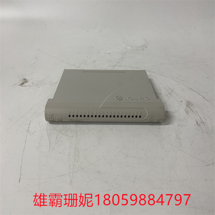 GE 1C31219G01 输入输出模块 产品介绍